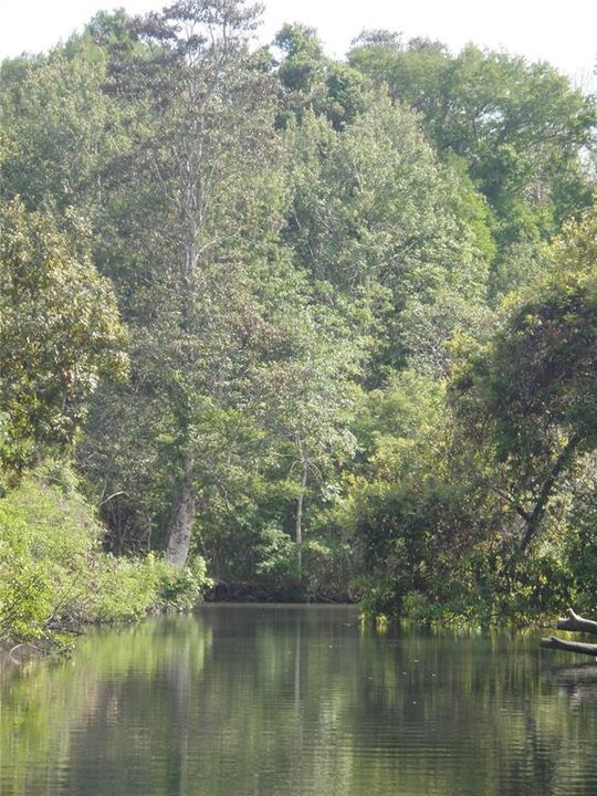 En Venta: $284,900 (3 camas, 2 baños, 1512 Pies cuadrados)