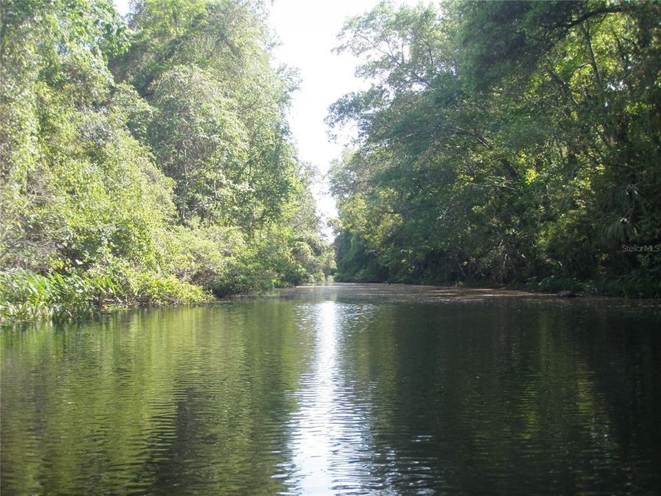 En Venta: $284,900 (3 camas, 2 baños, 1512 Pies cuadrados)