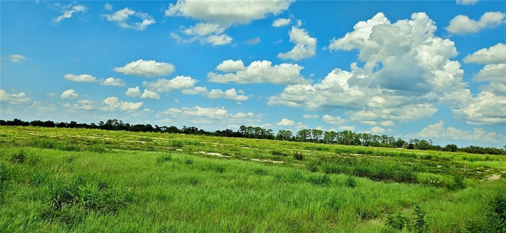 待售: $175,000 (5.73 acres)