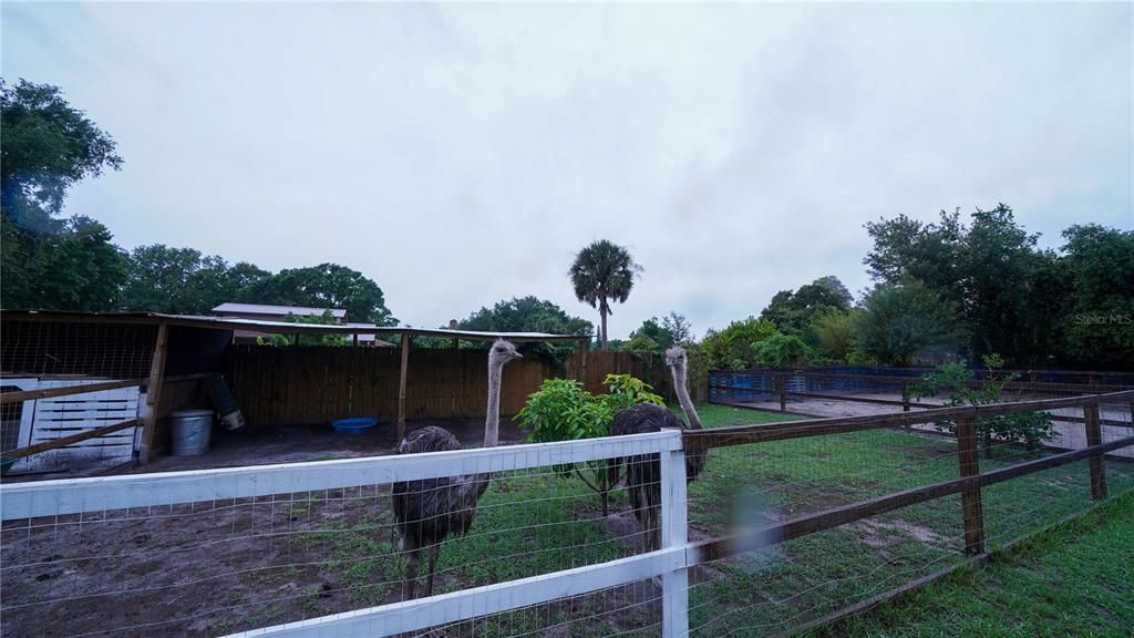 For Sale: $875,000 (5 beds, 2 baths, 3115 Square Feet)