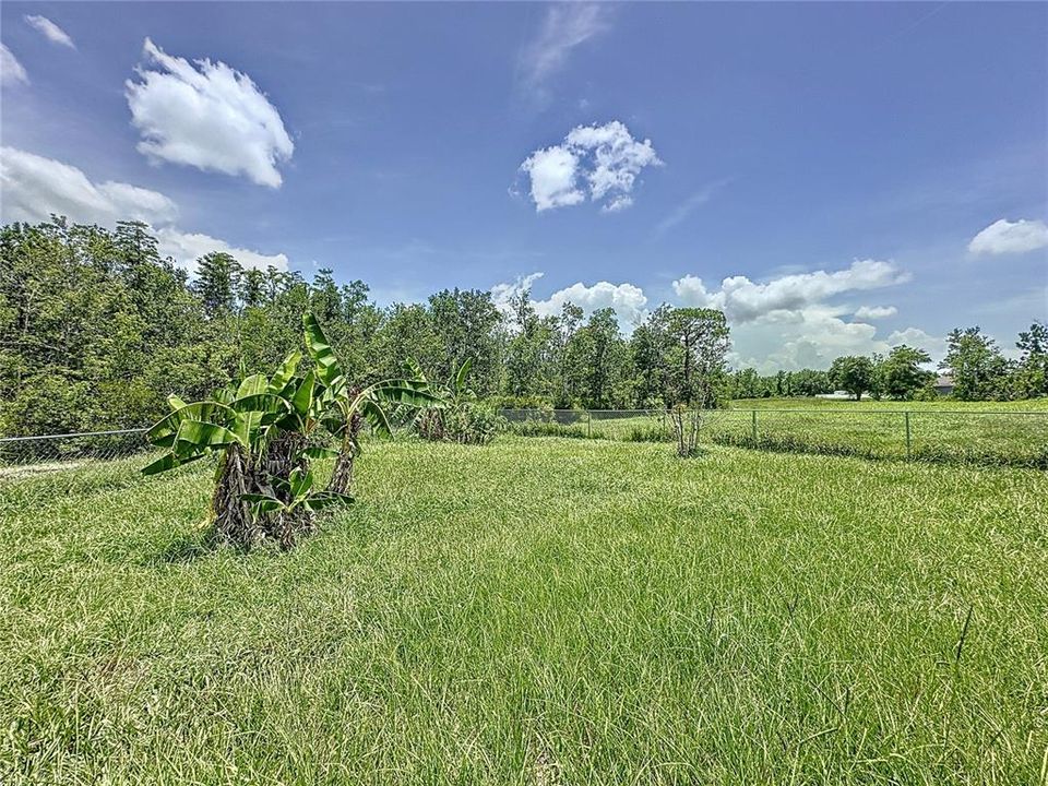 合同活跃: $1,600 (3 贝兹, 2 浴室, 1223 平方英尺)