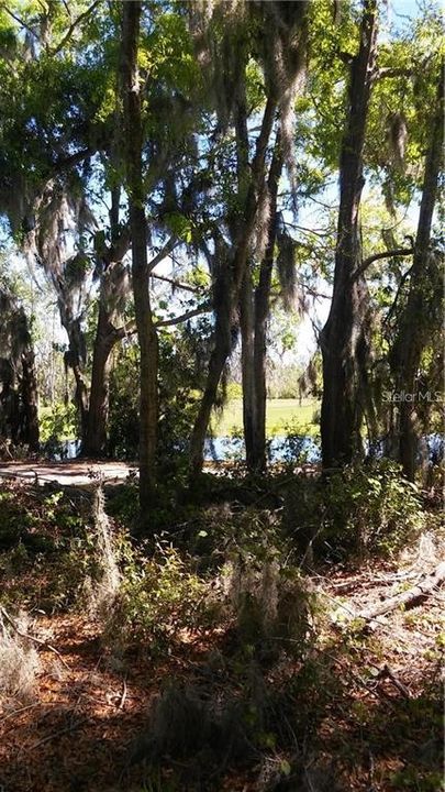 For Sale: $65,000 (0.78 acres)