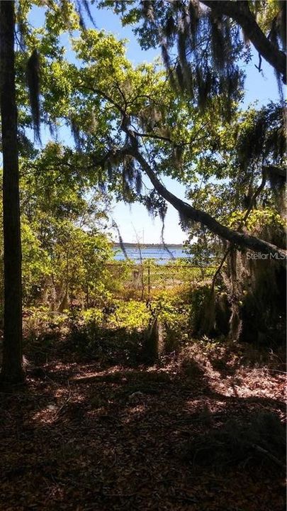 En Venta: $65,000 (0.78 acres)