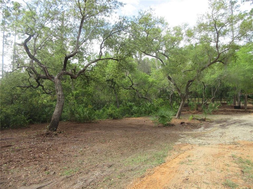For Sale: $154,000 (4.19 acres)