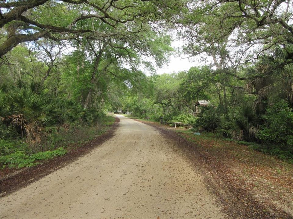 For Sale: $154,000 (4.19 acres)