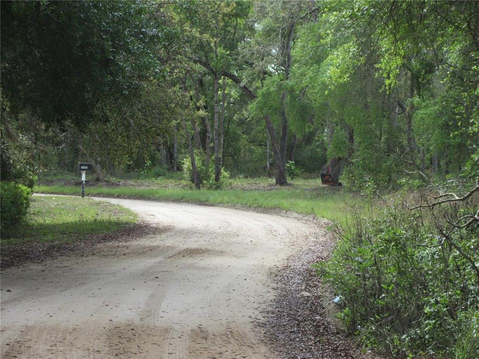 For Sale: $154,000 (4.19 acres)