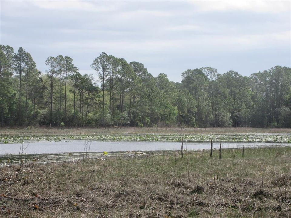 For Sale: $154,000 (4.19 acres)