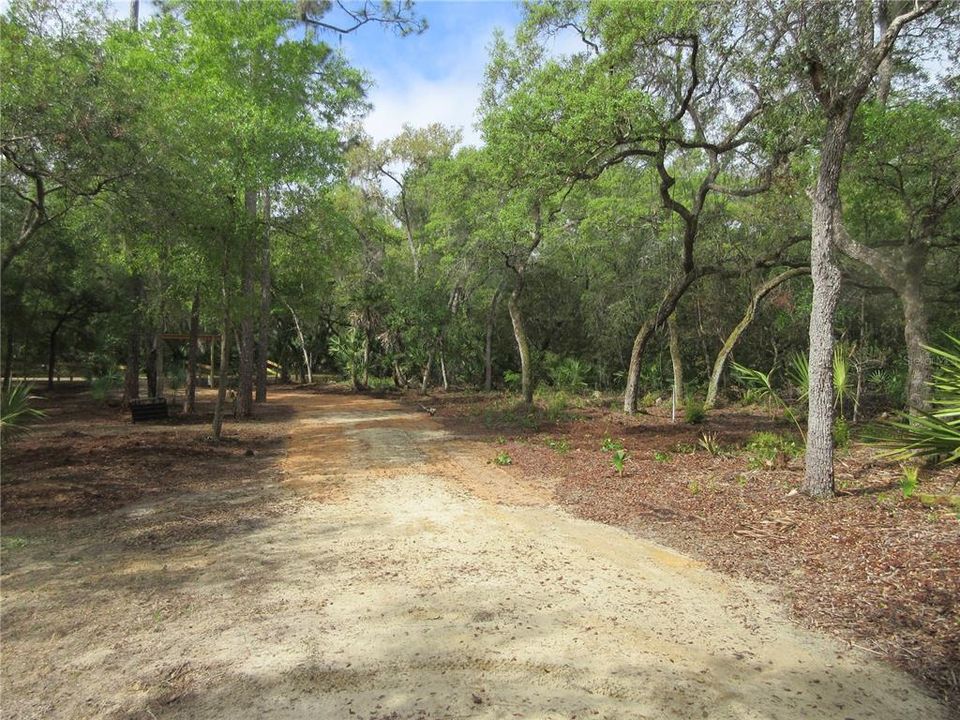For Sale: $154,000 (4.19 acres)