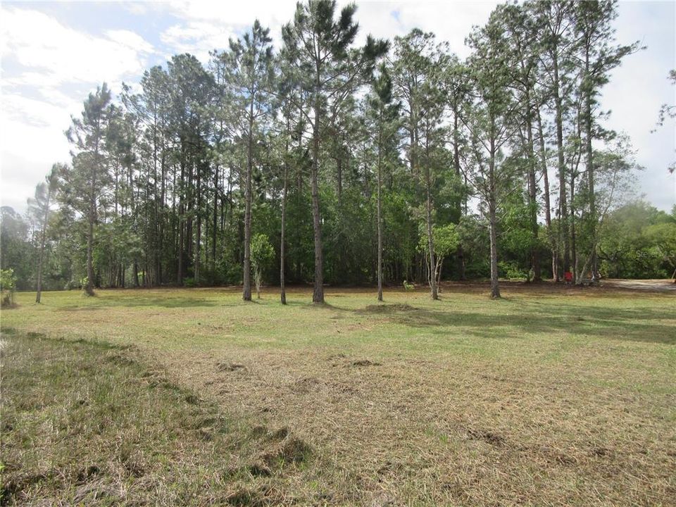 For Sale: $154,000 (4.19 acres)