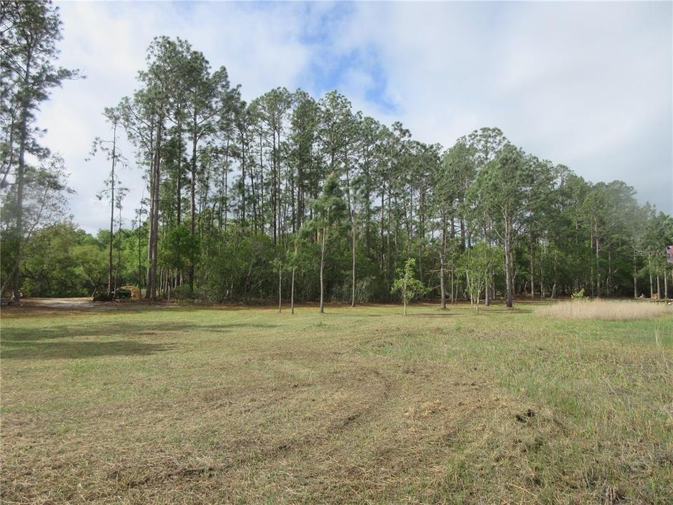 For Sale: $154,000 (4.19 acres)