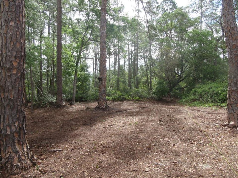 For Sale: $154,000 (4.19 acres)