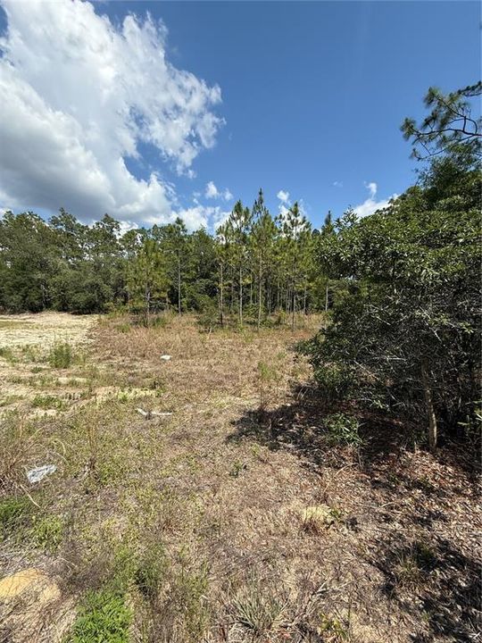 待售: $50,000 (0.95 acres)