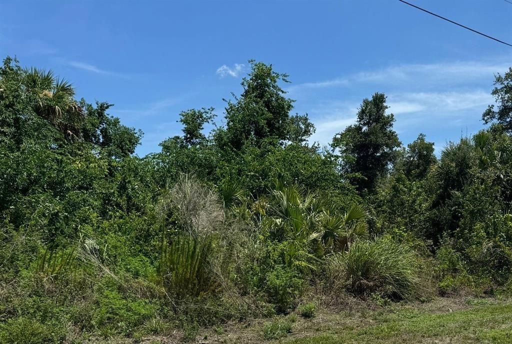 На продажу: $42,000 (0.23 acres)