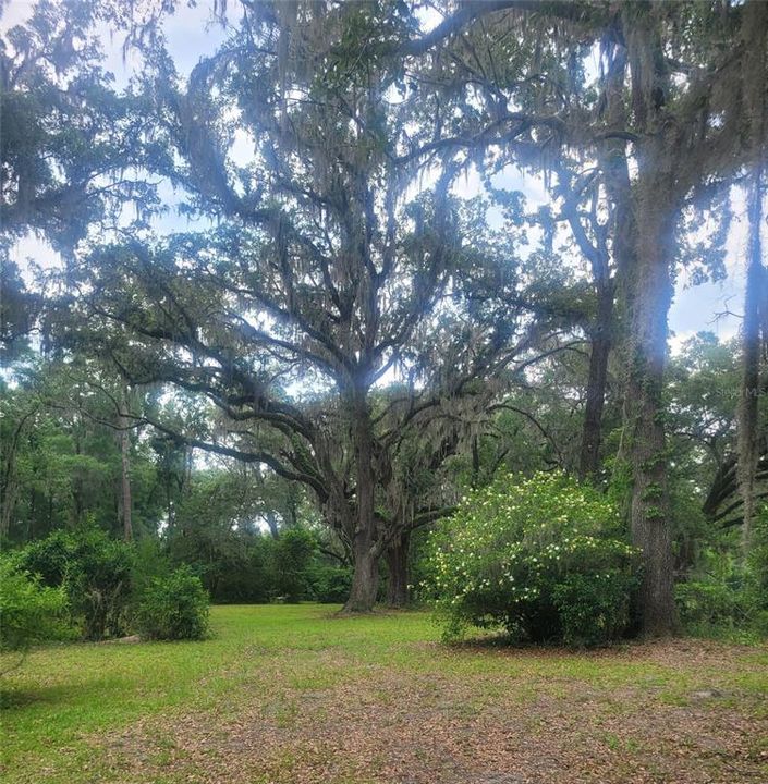 En Venta: $700,000 (3 camas, 2 baños, 1484 Pies cuadrados)