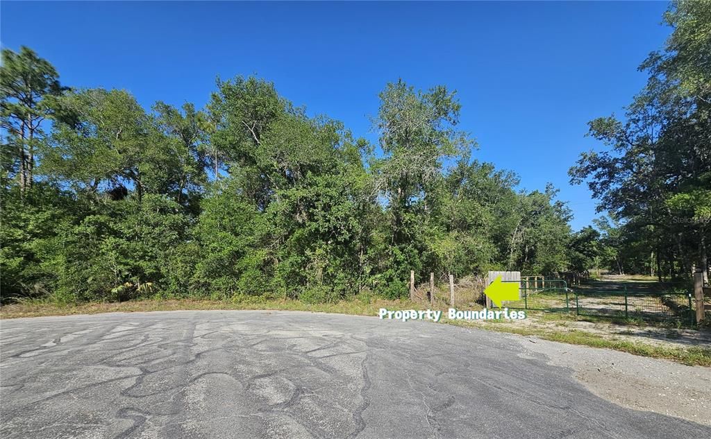 For Sale: $79,000 (1.42 acres)