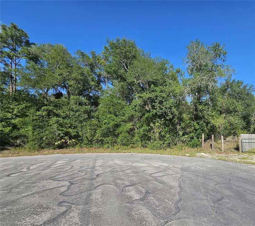 For Sale: $79,000 (1.42 acres)