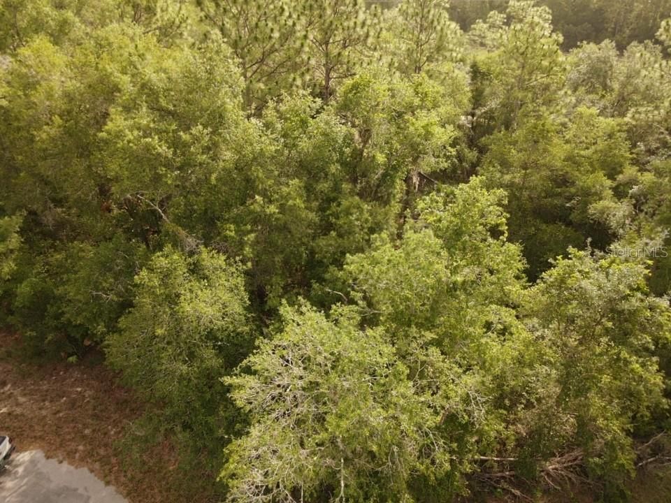 For Sale: $79,000 (1.42 acres)