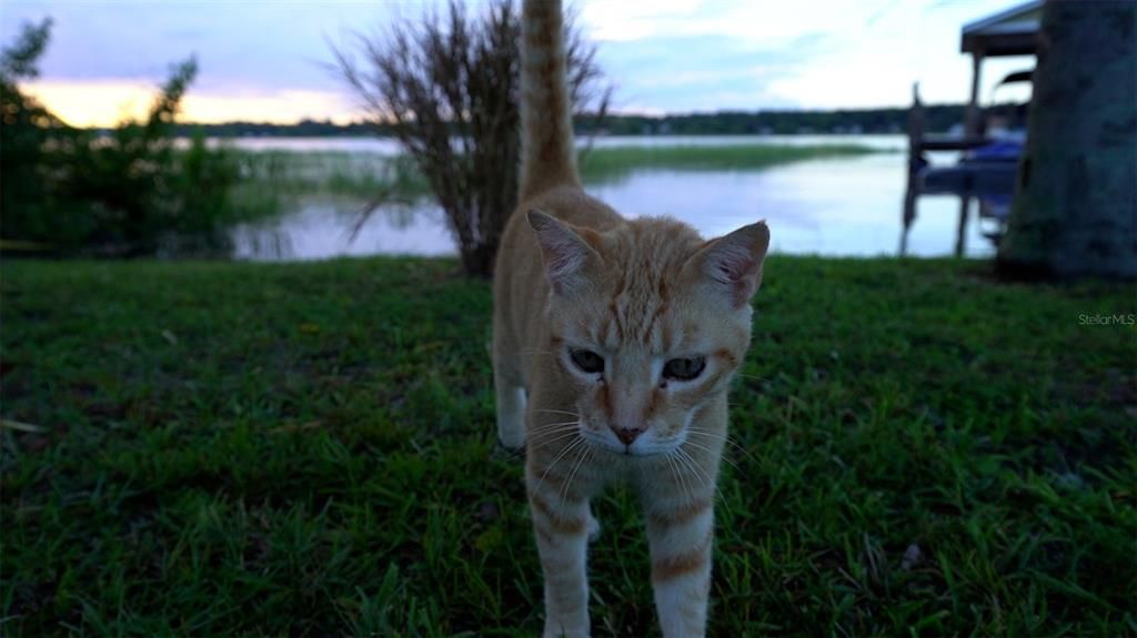 For Sale: $1,900,000 (10 beds, 8 baths, 5499 Square Feet)