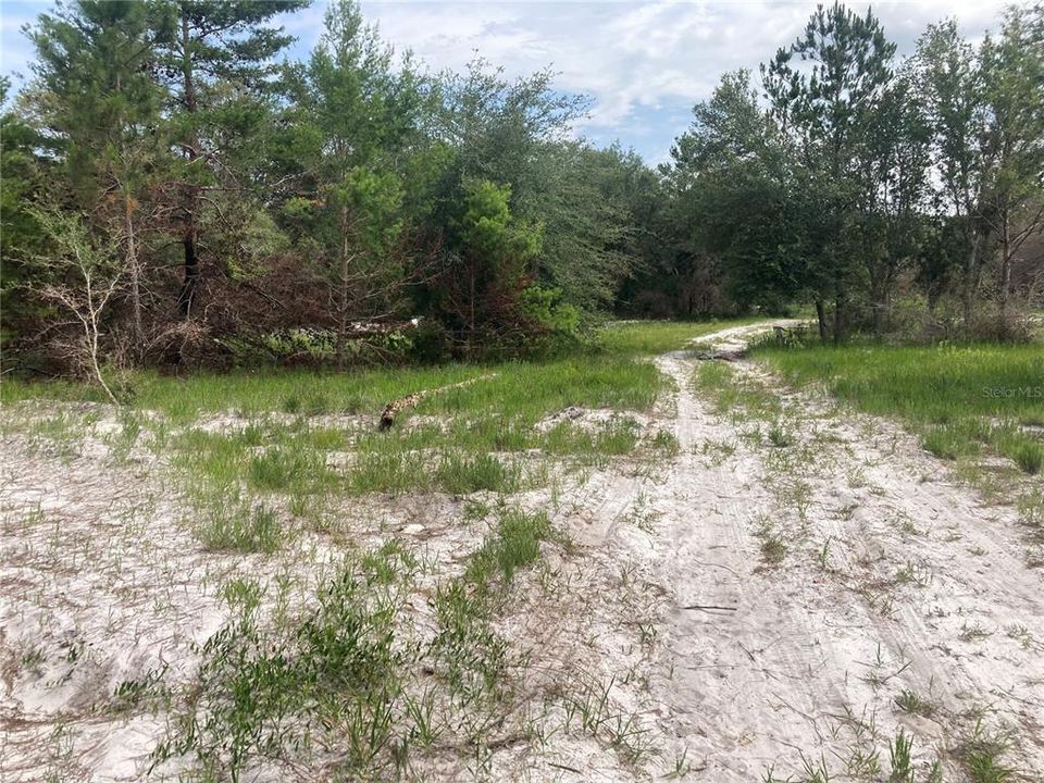 Active With Contract: $305,000 (3 beds, 3 baths, 2170 Square Feet)