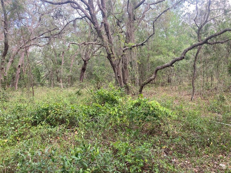 Active With Contract: $305,000 (3 beds, 3 baths, 2170 Square Feet)