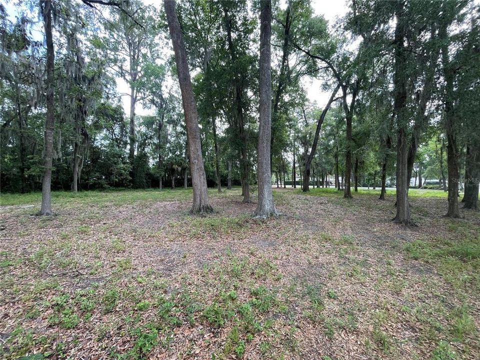 Active With Contract: $649,000 (1.29 acres)