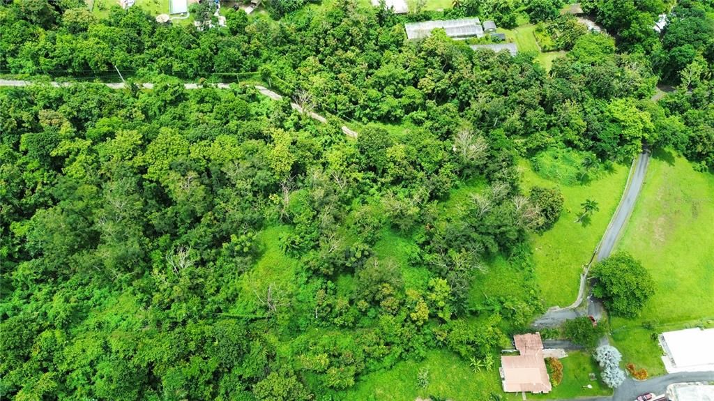 На продажу: $85,000 (0.54 acres)