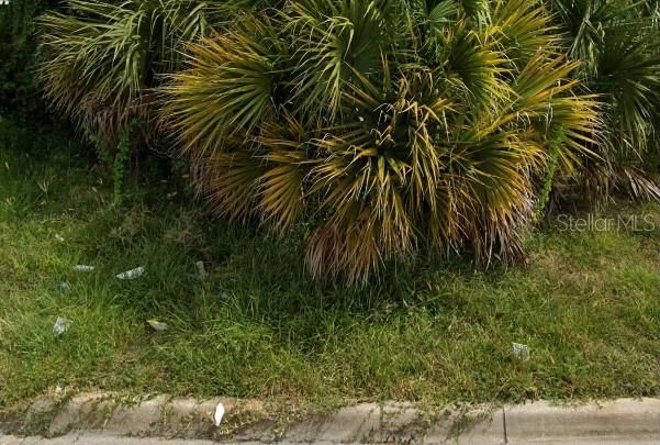 最近售出: $73,000 (0.18 acres)