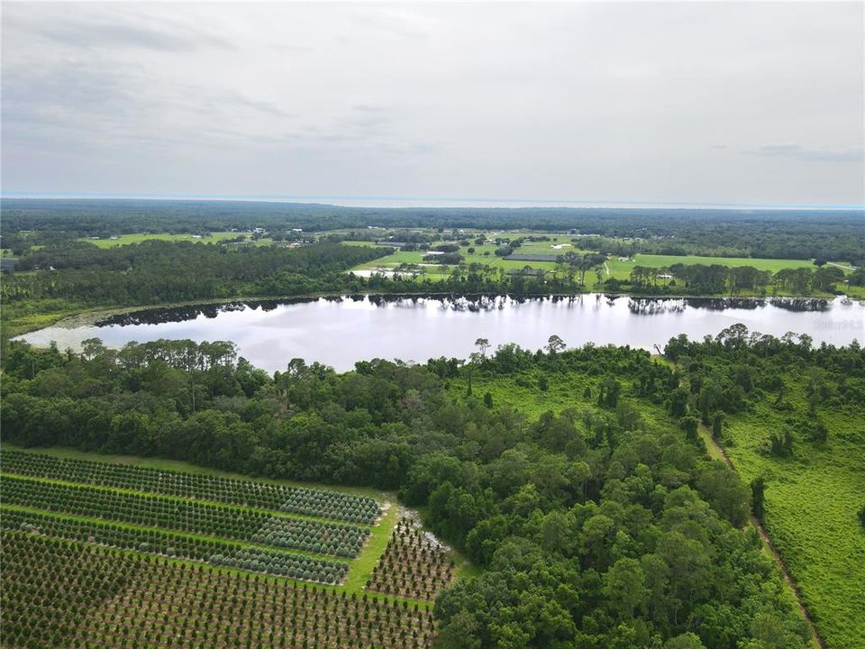 For Sale: $99,900 (12.27 acres)