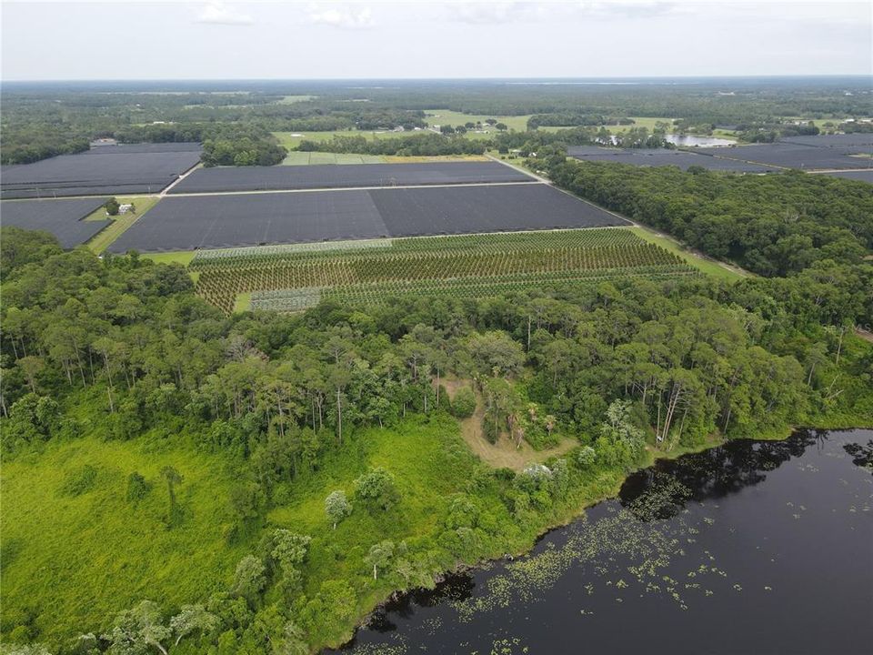 For Sale: $99,900 (12.27 acres)