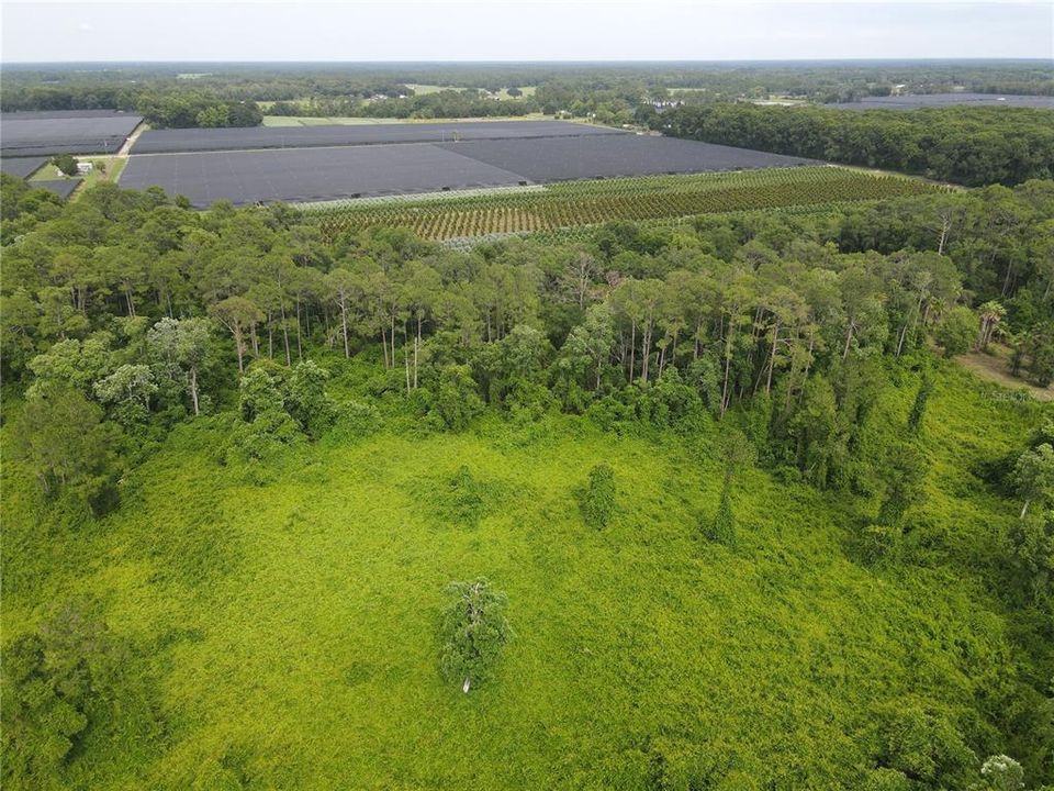 For Sale: $99,900 (12.27 acres)