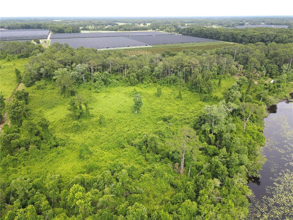 For Sale: $99,900 (12.27 acres)