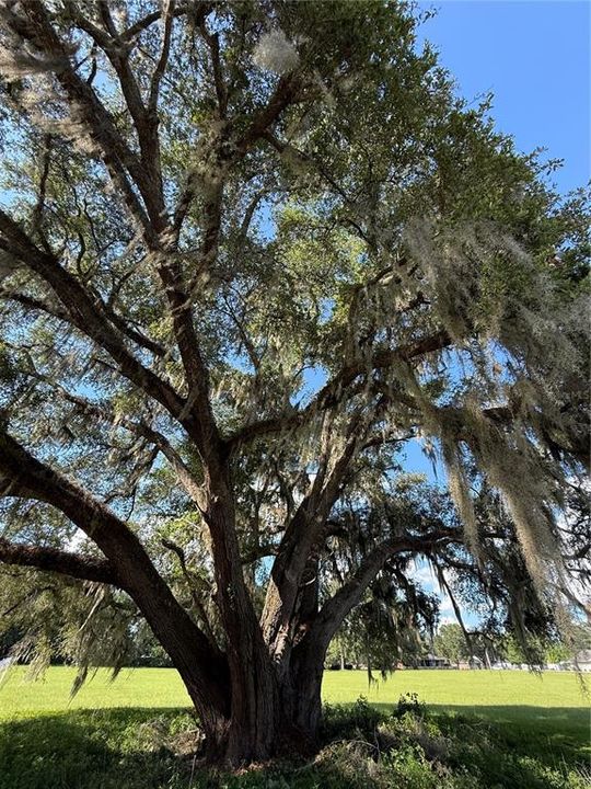 For Sale: $59,900 (1.14 acres)