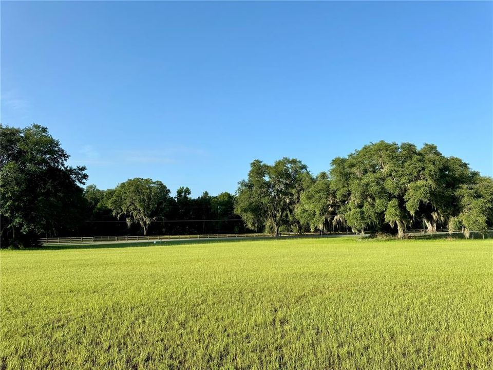 For Sale: $59,900 (1.14 acres)