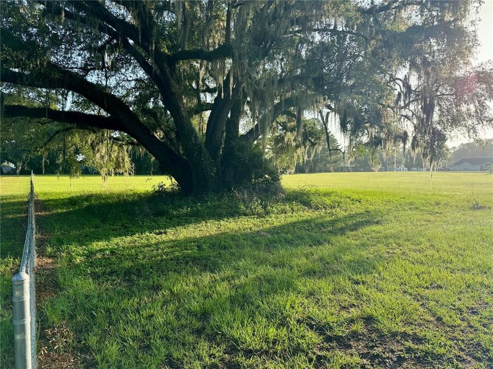 For Sale: $59,900 (1.14 acres)