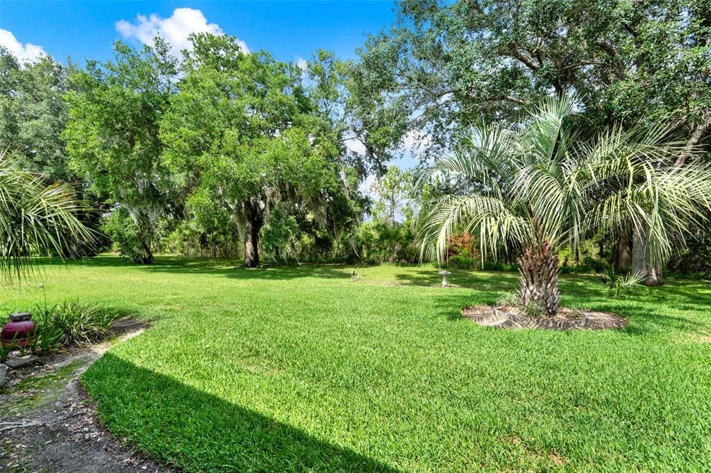 Под контрактом: $279,990 (3 спален, 2 ванн, 1478 Квадратных фут)