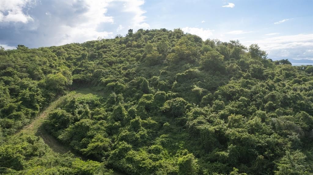 For Sale: $117,000 (0.97 acres)