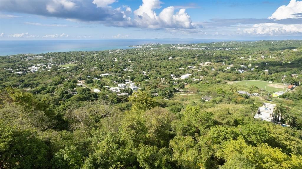 For Sale: $117,000 (0.97 acres)