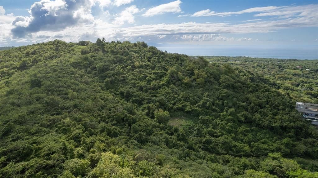 For Sale: $117,000 (0.97 acres)