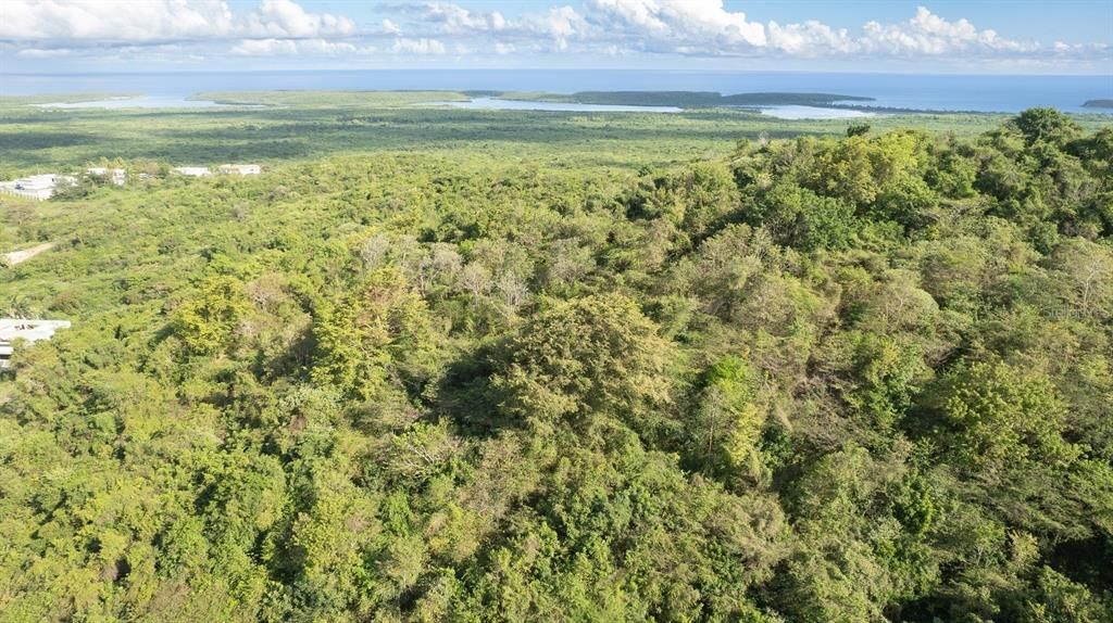 For Sale: $117,000 (0.97 acres)