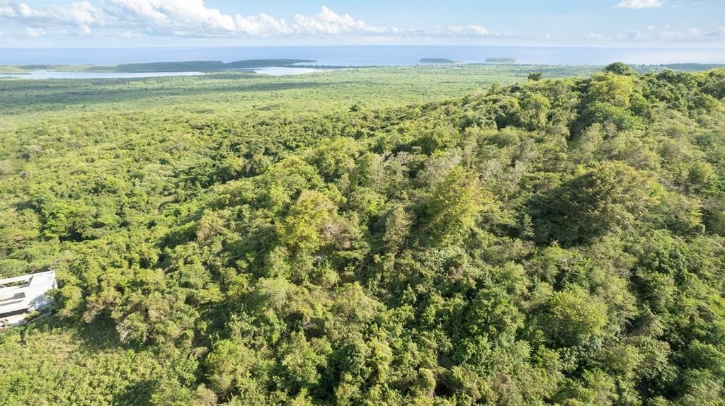 For Sale: $117,000 (0.97 acres)