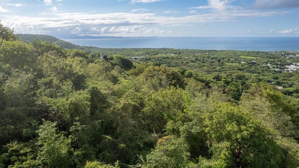 For Sale: $117,000 (0.97 acres)