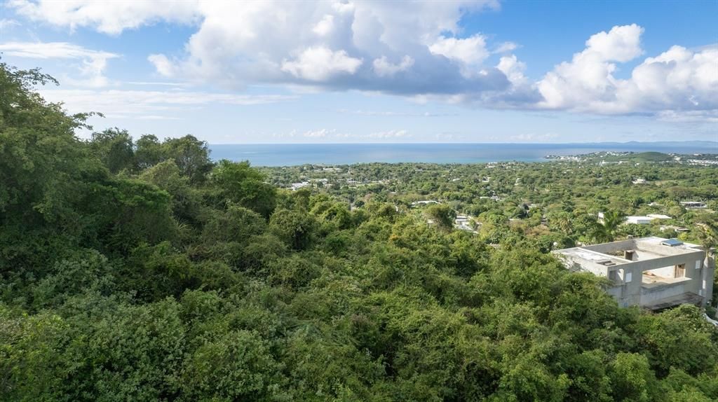 For Sale: $117,000 (0.97 acres)