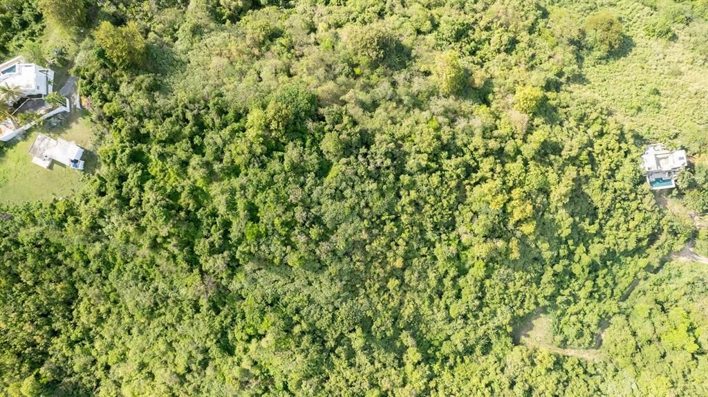 For Sale: $117,000 (0.97 acres)