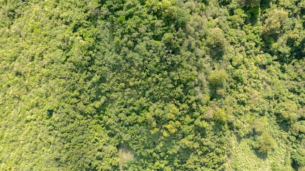 For Sale: $117,000 (0.97 acres)