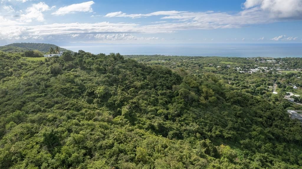 For Sale: $117,000 (0.97 acres)