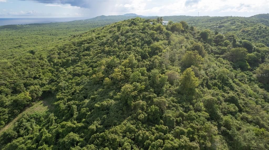 For Sale: $117,000 (0.97 acres)