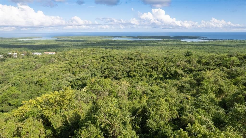 For Sale: $117,000 (0.97 acres)