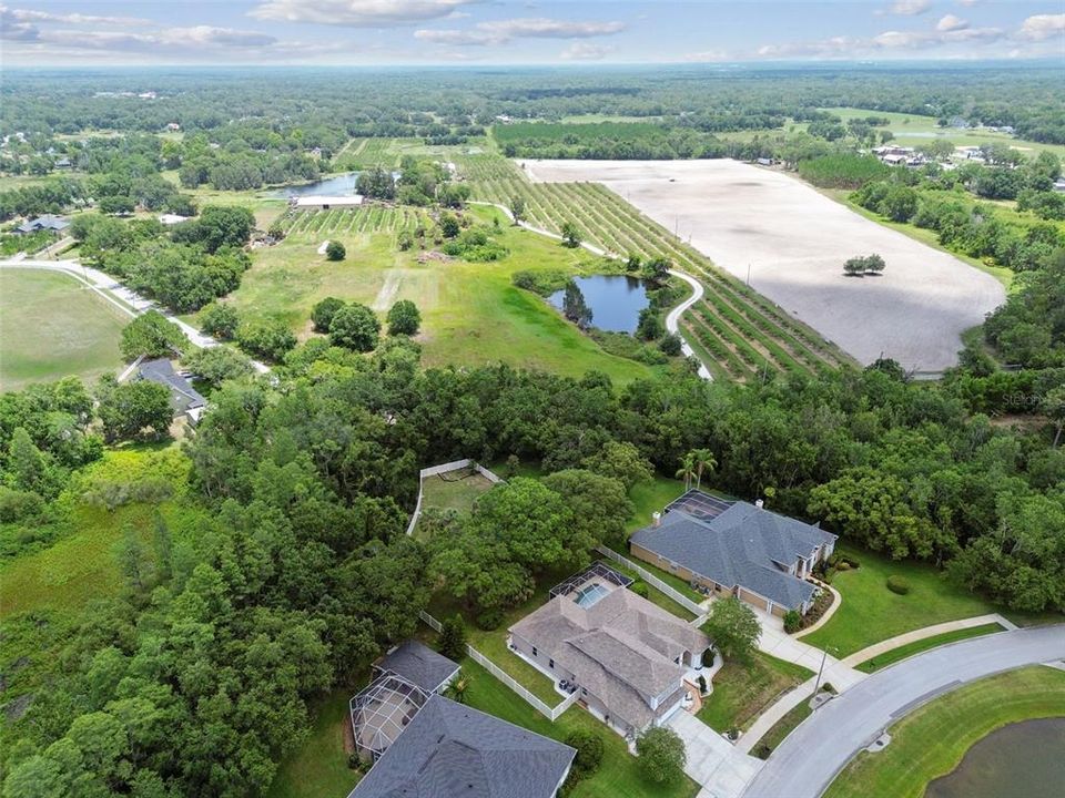 For Sale: $799,999 (4 beds, 3 baths, 3730 Square Feet)