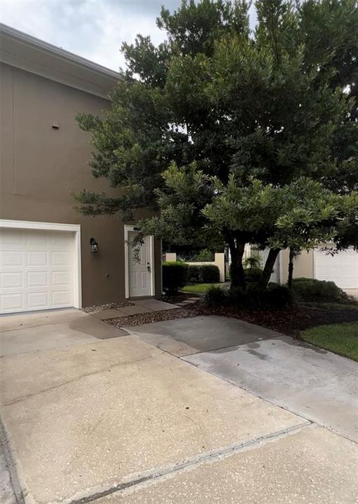 出租: $1,499 (1 贝兹, 1 浴室, 600 平方英尺)