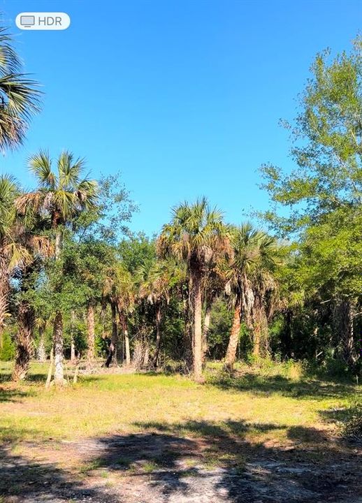 Недавно продано: $80,000 (1.01 acres)